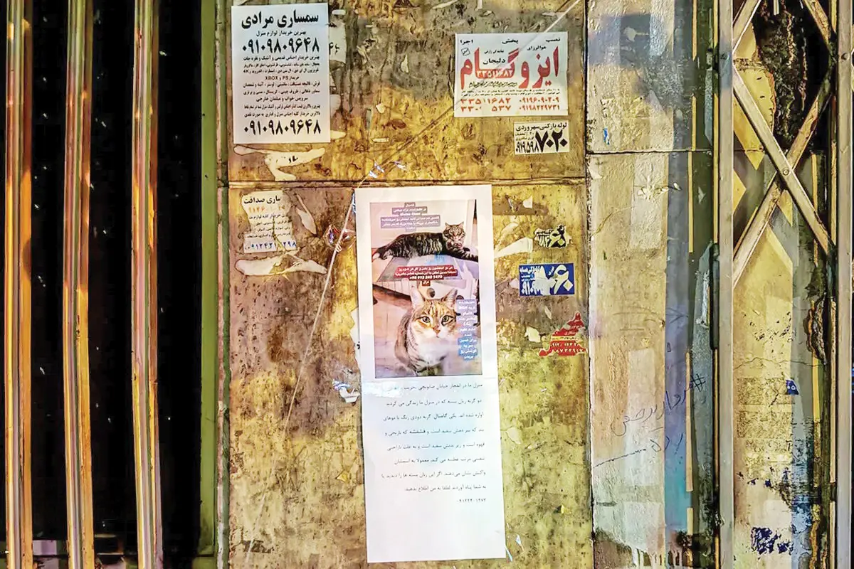 آوش copy