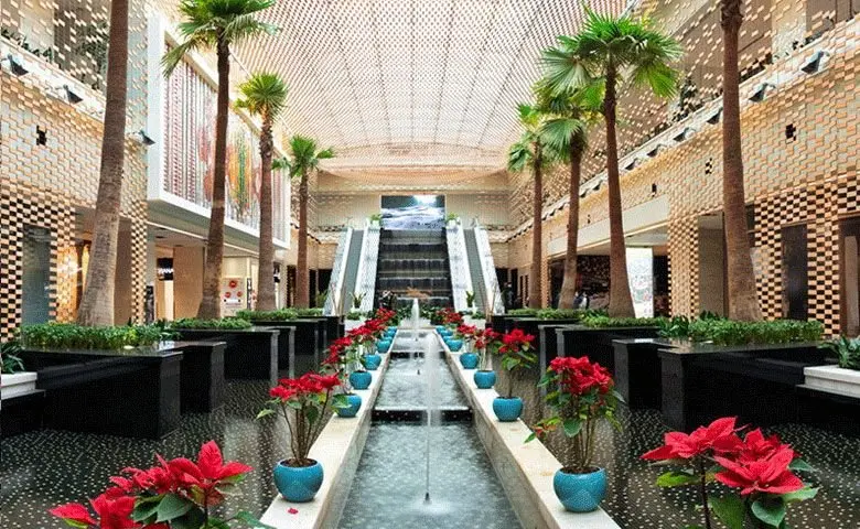 gOIYSgZF6Y7VfjFaVbBFpWe84bT06UYHNoaPwLEc