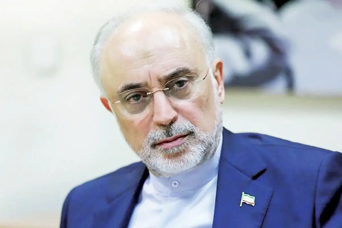 علی اکبر صالحی copy