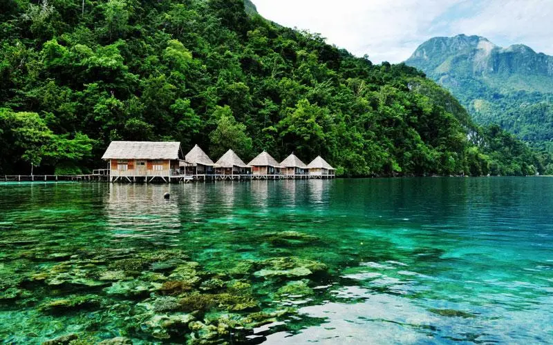 6bpq8vZShuFyP5sqZtchJfejdonVDrNrETwTczJG