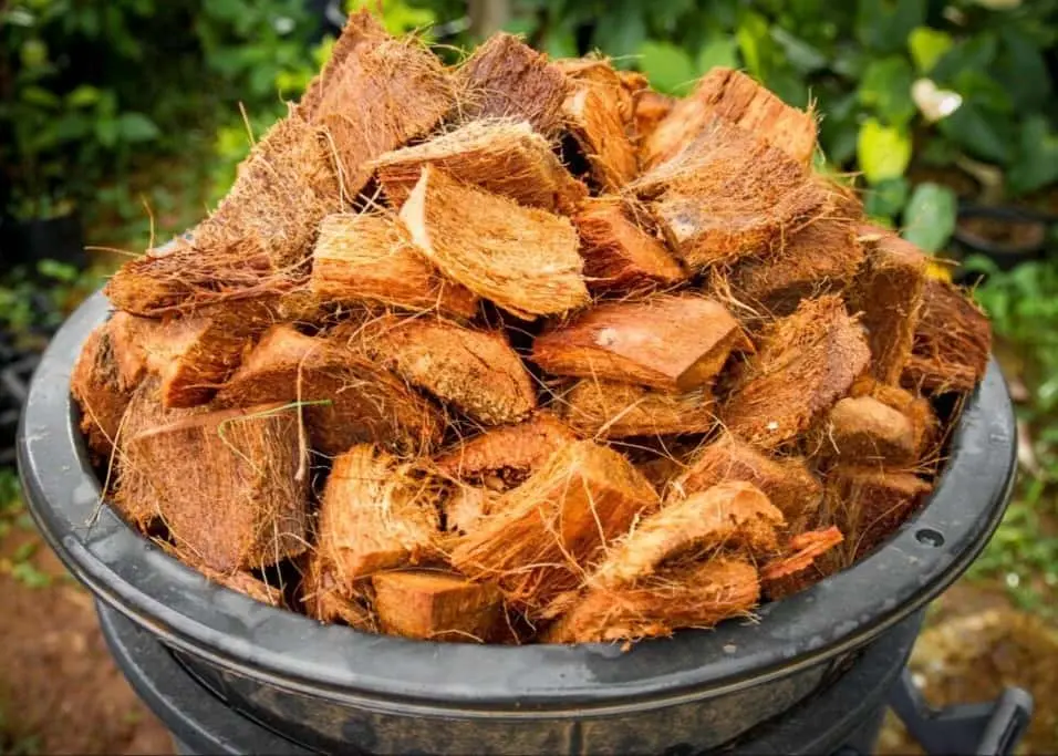 راهنمای خرید کوکوپیت مرغوب