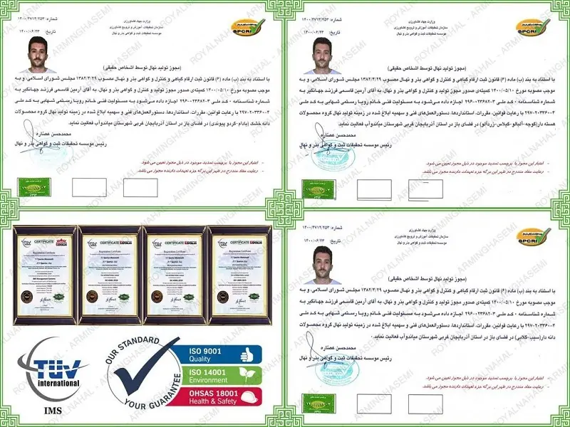 PY2Vn6rEAxw7lBsQQEpkkiBNHh6qodNBLY1cSp6T