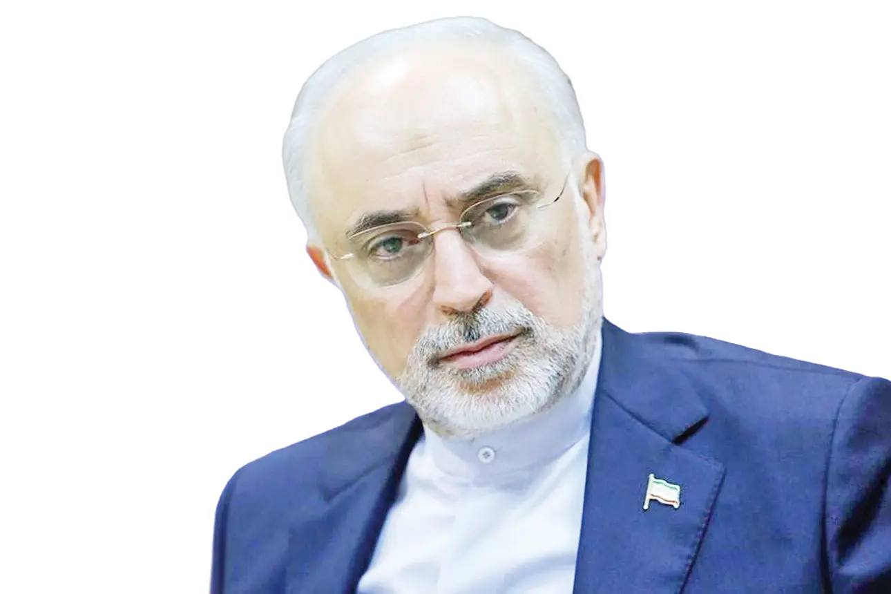 صالحی 2 copy