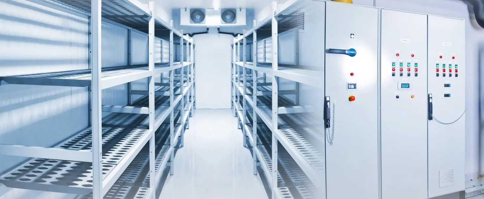 HXYT2CxUzgALR7fjz4UjAiu4DFjGC9PlWMWcH5ox