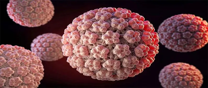 ویروس HPV از استخر منتقل میشود؟