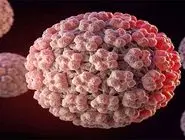 ویروس HPV از استخر منتقل می‌شود؟