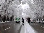 جایی برای لذت از قلب پایتخت و دیدنی های میدان ولیعصر