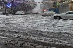 آماده‌باش کامل دستگاه‌های امدادی در پی بارش‌ها در ۱۷ استان
