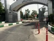 قدردانی وزارت ورزش از مدال‌آوران مسابقات آسیایی اسکیت