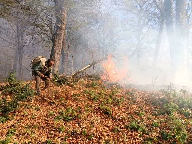 تداوم آتش‌سوزی در جنگل‌های شرق گلستان