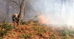 تداوم آتش‌سوزی در جنگل‌های شرق گلستان