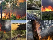 مراقب ایران نیستیم مراقب ایران نبوده‌ایم