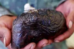 تصویری از کشف جاساز عجیب 200 کیلو تریاک در اصفهان 