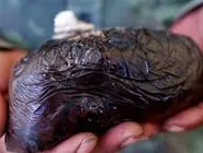 تصویری از کشف جاساز عجیب 200 کیلو تریاک در اصفهان 