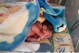 نجات نوزاد رهاشده در گاری زباله مشهد