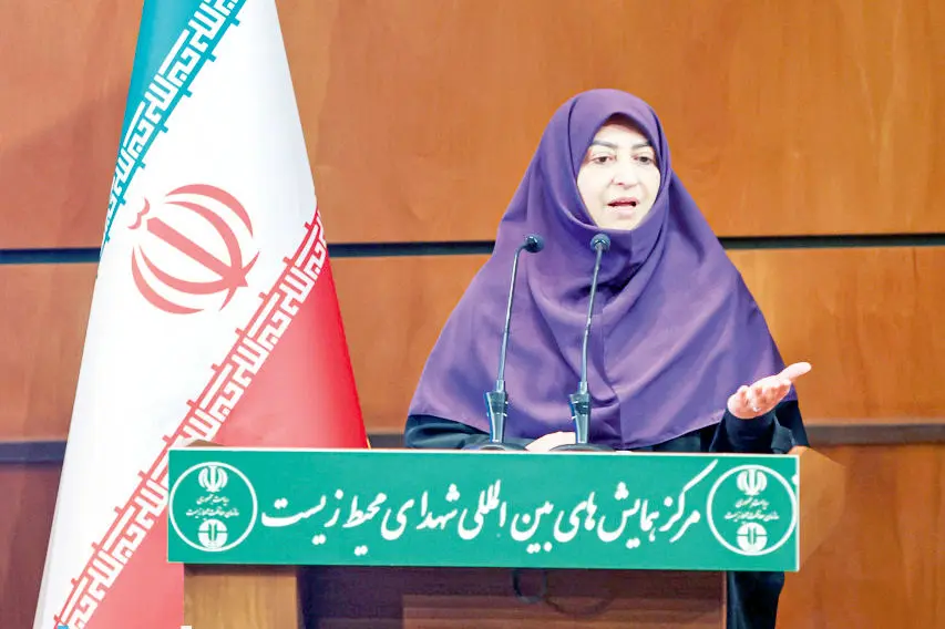 انصاری: نقد فعالان محیط زیست به پویایی سازمان کمک میکند