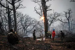 بالگردها دیر رسیدند، جنگل بیابان شد/گزارش میدانی از آتش‏‌سوزی جنگل‏‌های الیت چالوس که در صورت گسترده‌‏تر شدن موجب تخلیه دو روستا خواهد شد