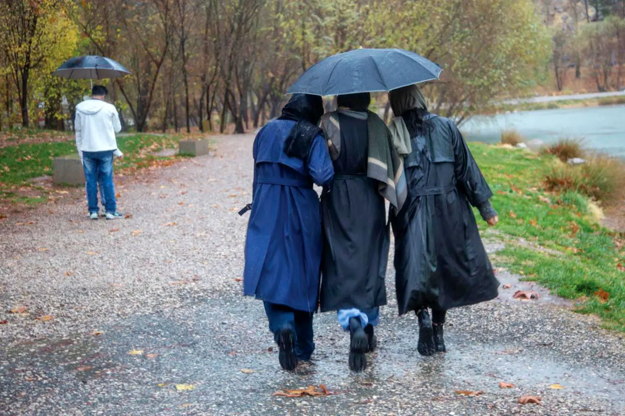 نفسی بیا و بنشین/ درباره عکسی از باران پاییزی