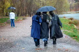 نفسی بیا و بنشین/ درباره عکسی از باران پاییزی