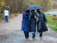 نفسی بیا و بنشین/ درباره عکسی از باران پاییزی