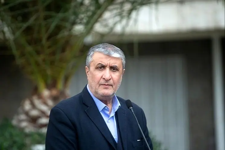 رئیس سازمان انرژی اتمی: مبنای تعامل ما با آژانس قانون مجلس است