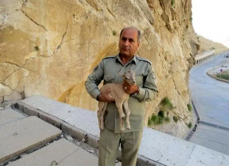 شهادت یک محیطبان در درگیری با شکارچیان غیرمجاز
