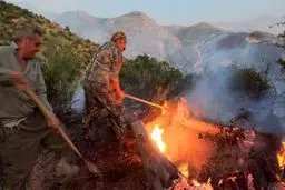 آتش‌سوزی در نزدیکی پارک ملی تندوره