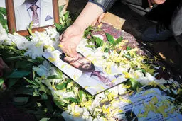 بررسی نامه رئیس نظام پزشکی به رئیس مجلس/ همدردی با قاتل یک پزشک؟