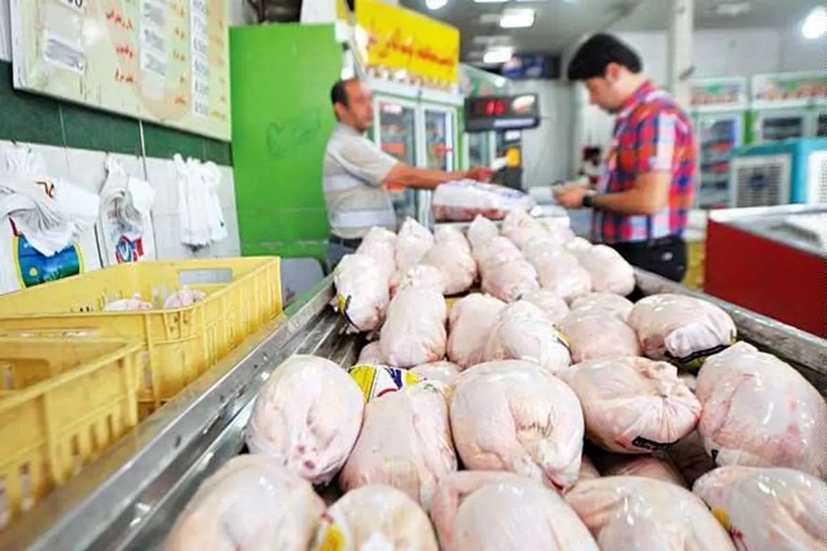 برنامه توزیع محصولات پروتئینی در تهران؛ روزانه 1500 تن گوشت مرغ