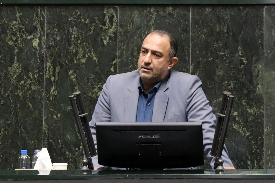 راز گران شدن برنج از دیدگاه نماینده مجلس