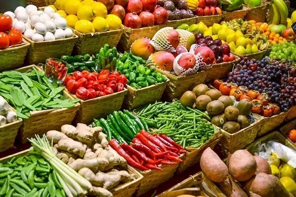 تولید محصولات ارگانیک در جهان و جایگاه  ایران

