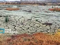نابودی تالاب تا سال 1440/کارشناسان و کنشگران محیط‏زیست از آخرین وضعیت تالاب انزلی می‏‌گویند