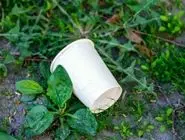 ممنوعیت استفاده از ظروف یک‌بارمصرف در سازمان محیط‌زیست

