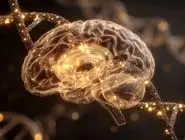 تصویر تازه از تغییرات ساختاری مغز انسان از نوزادی تا سالمندی