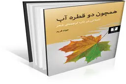 تأملاتی در باب ترجمه‌‏ی شعر