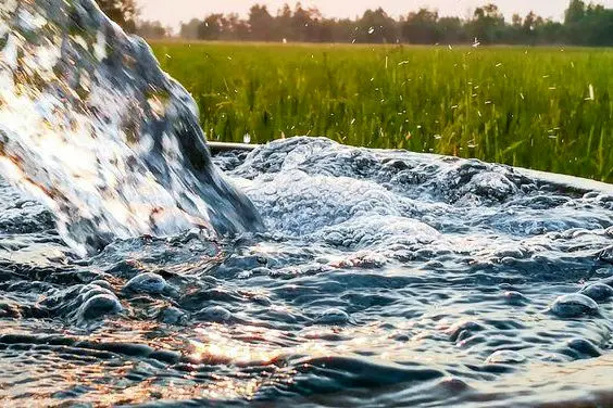 خشکی ریشه زندگی