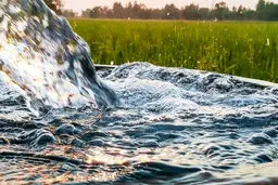 خشکی ریشه زندگی