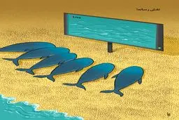 نقش رسانه/کاریکاتور حمیدرضا مسیبی