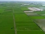 هشدار استاندار گیلان: زمین‌های گیلان را برای ویلاسازی نمی‌دهیم