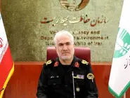 کشف محموله خرس، راکون و سنجاب 