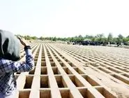 آمار تکان‌دهنده فوتی‌های ناشی از آتش‌سوزی؛ شارژ کپسول آتش‌نشانی چقدر نجات‌بخش بود؟