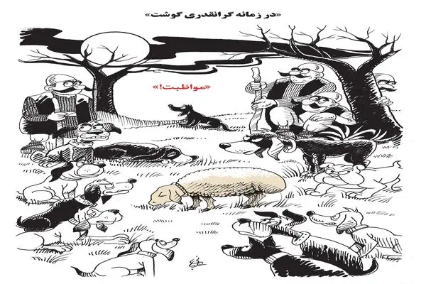 گرانقدری گوشت/ کاریکاتور احمد عربانی