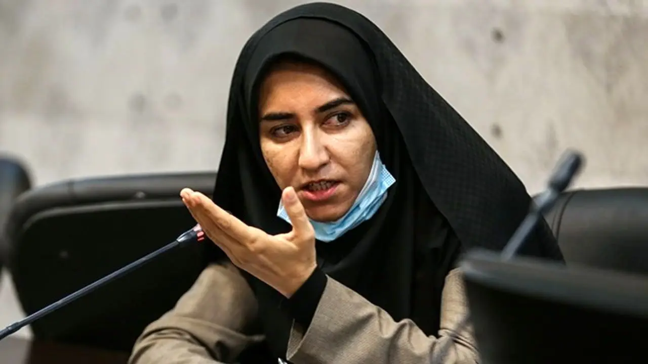 سارا فلاحی: هرجا سرداری به زمین افتاد، مزدور داخلی عامل آن بود