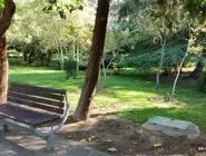 چمن سبز ، متهم به نابودی آب تهران