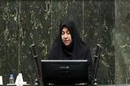 نماینده مجلس: وحدت یک مولفه مقطعی نیست، یک تصمیم راهبردی است