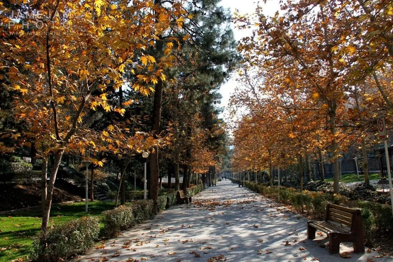 هوای تهران گرم میشود