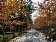 هوای تهران خنک می‌شود