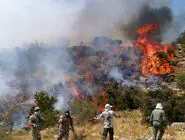 حریق هیرکانی/ ابعاد حقوقی  آتش‌سوزی کهن‌ترین جنگل ایران