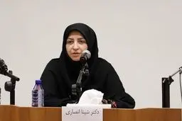 انصاری: کاهش استفاده از سوخت‌های فسیلی ضروری است