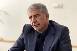 احمد انارکی نماینده مجلس: استفاده مردم از پلتفرم‌های فروش آنلاین طلا باید تسهیل شود